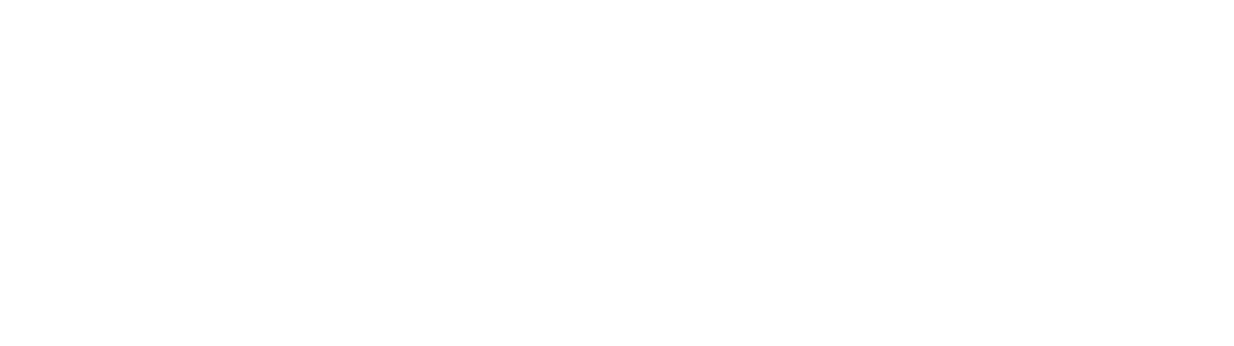 Mellendorfer TV Basketball – GINNERS
